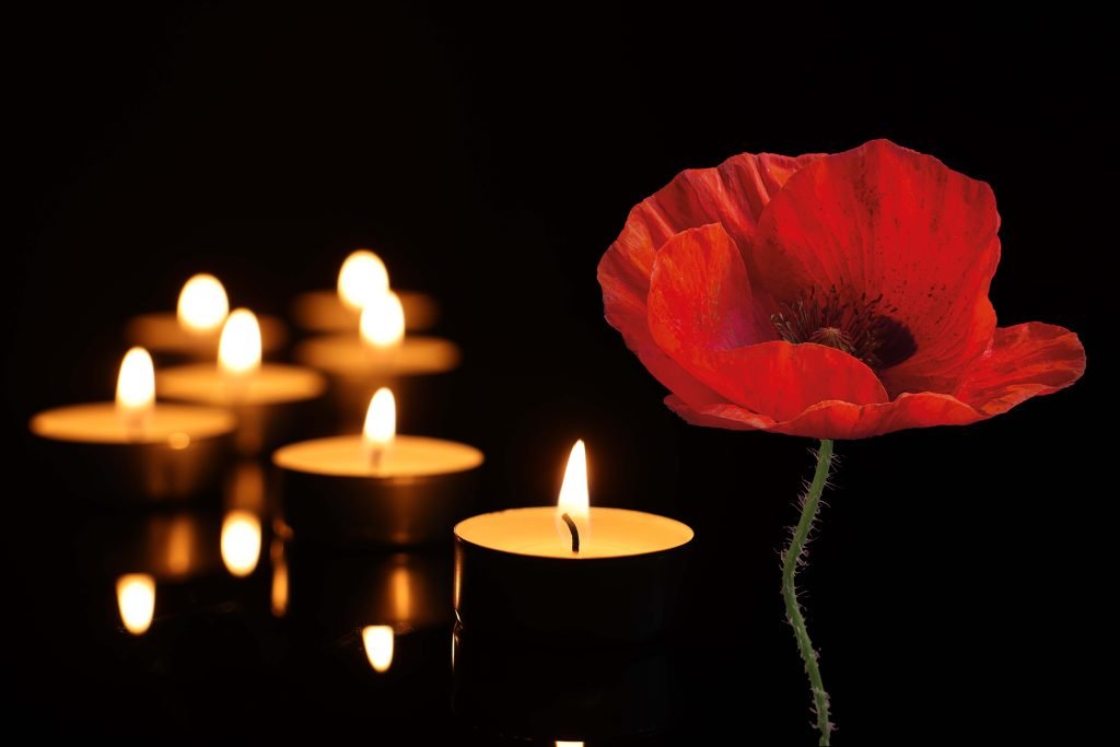 Poppy and tealights on a black background