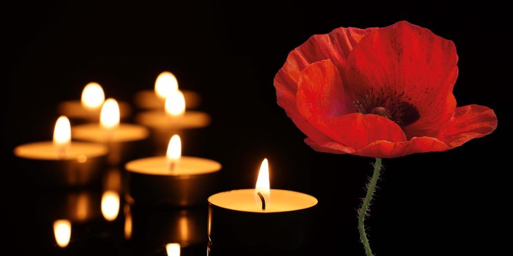 Poppy and tealights on a black background