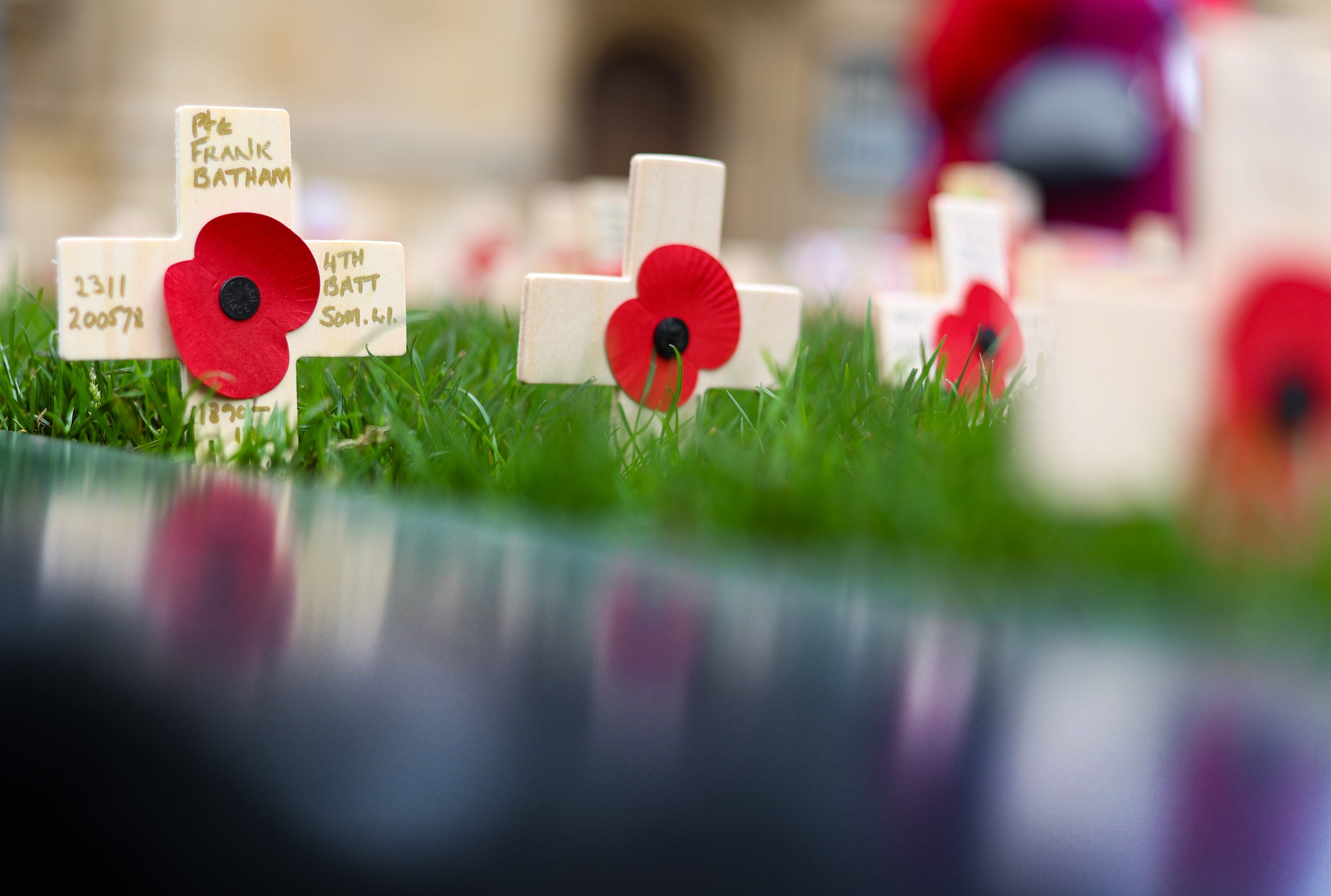 Wooden crosses with red poppies in a green grass cross outside Bath Abbey